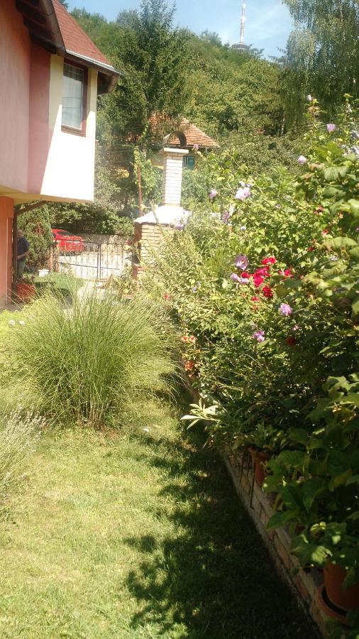 Apartman House Annesa Sarajevo Bagian luar foto
